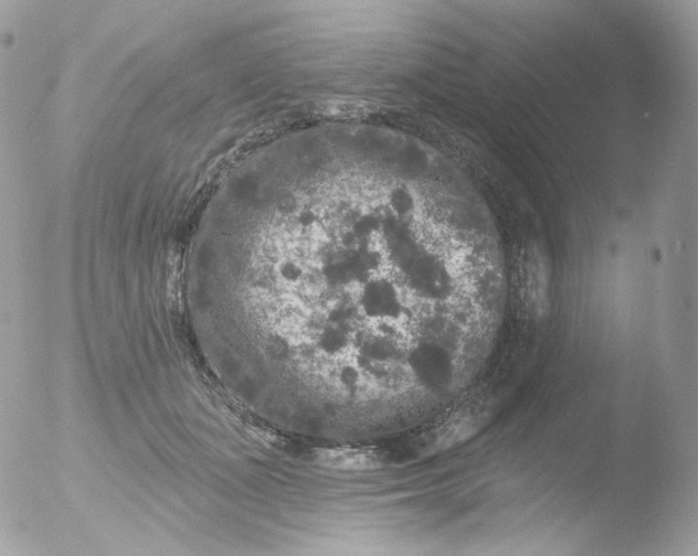 X0000051890511200507151942