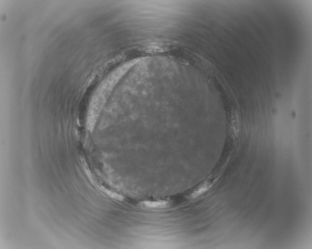 X0000051890512200507151942