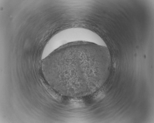 X0000051890515200507151942