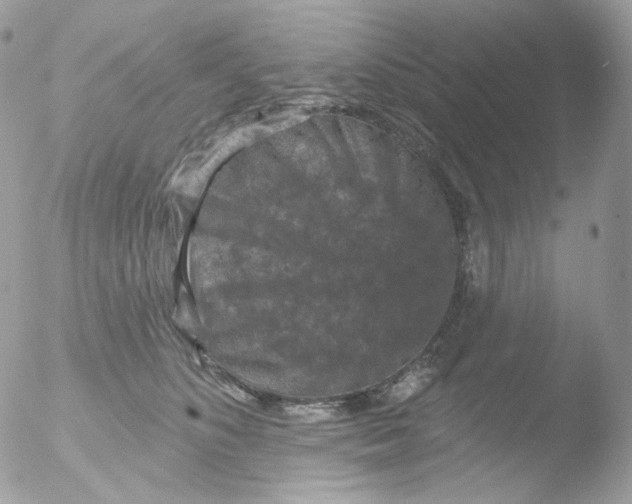 X0000051890516200507151942