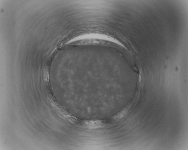 X0000051890517200507151942