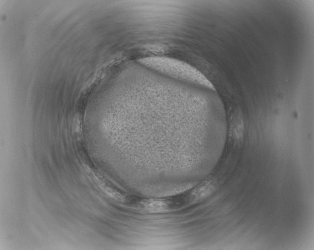 X0000051890518200507151942