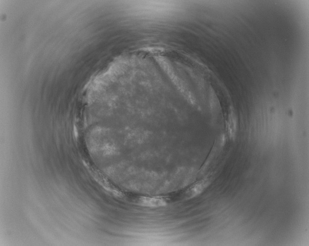 X0000051890520200507151942