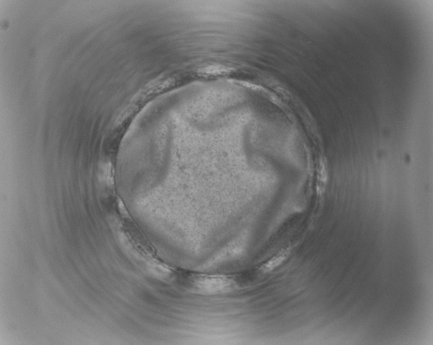 X0000051890521200507151942