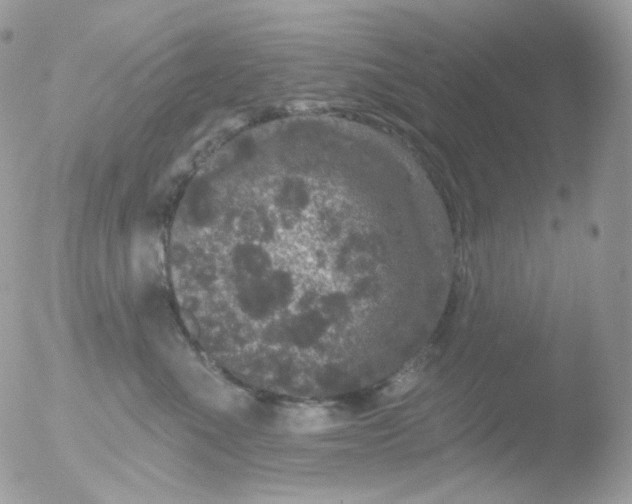 X0000051890523200507151942