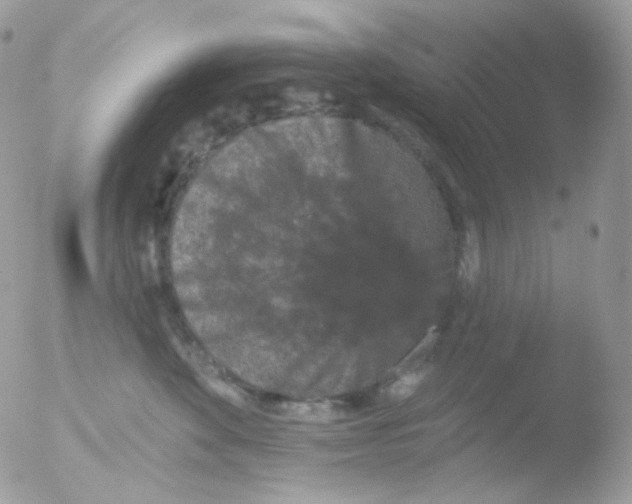 X0000051890524200507151942