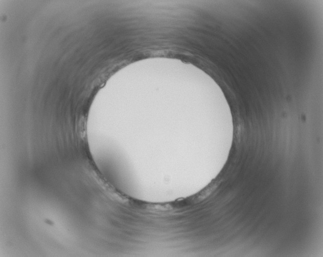 X0000051890525200507151942