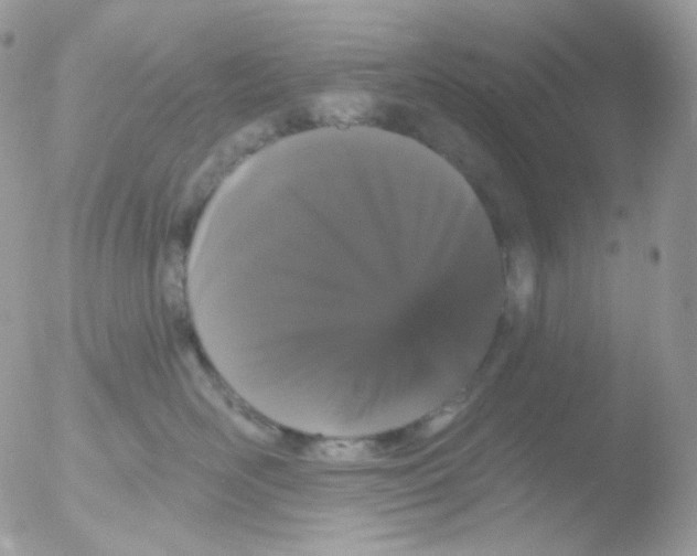 X0000051890526200507151942