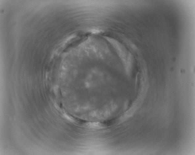 X0000051890528200507151942