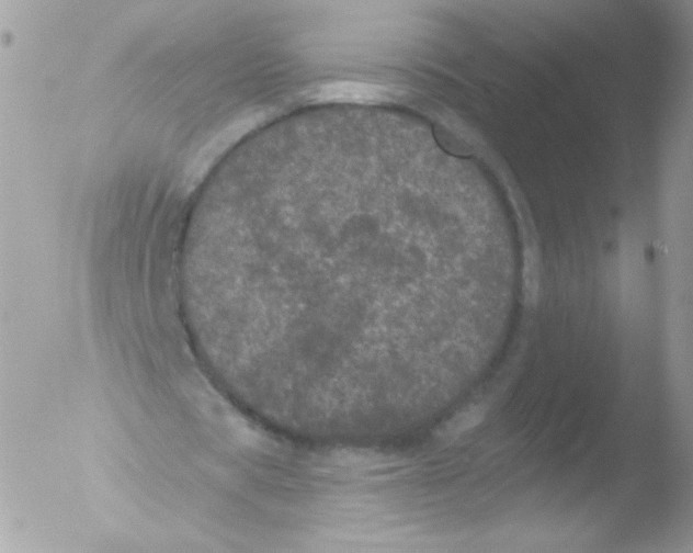 X0000051890529200507151941