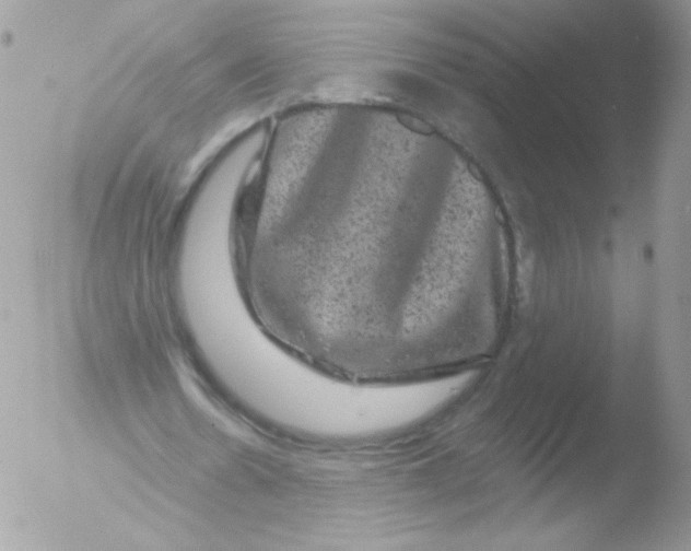 X0000051890530200507151941