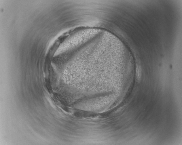 X0000051890532200507151941