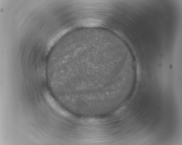 X0000051890533200507151941