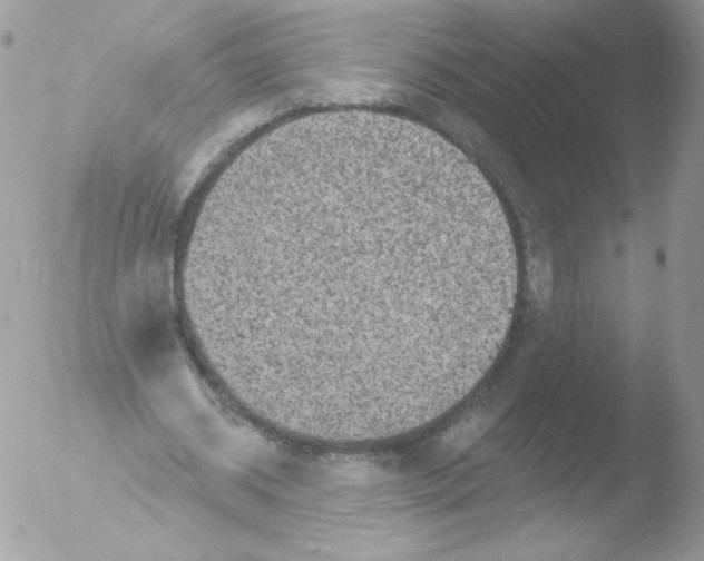 X0000051890534200507151941