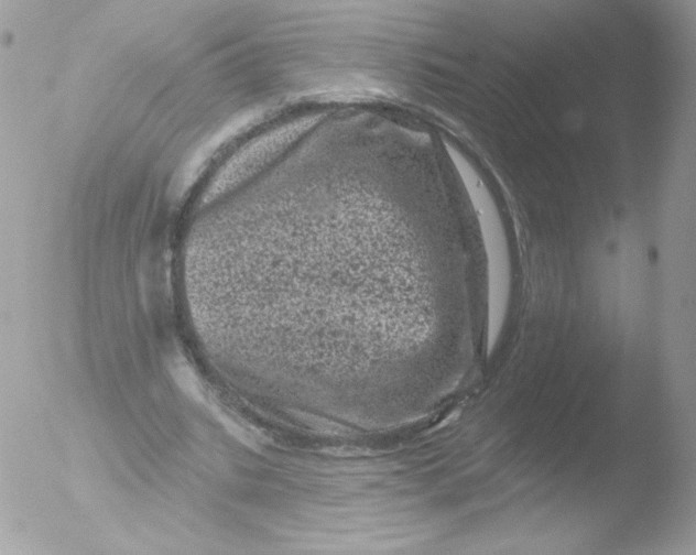 X0000051890535200507151941