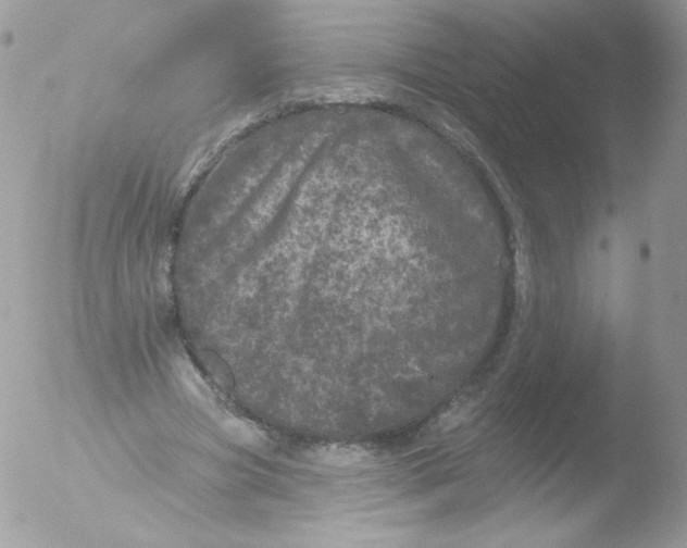 X0000051890537200507151941