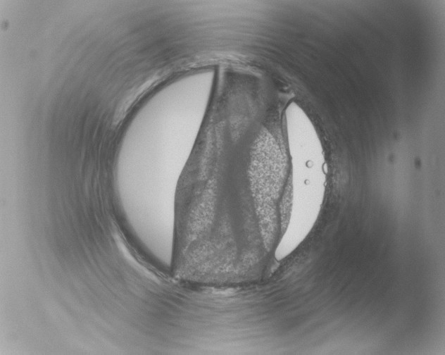 X0000051890538200507151941