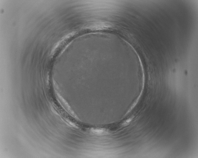 X0000051890539200507151941