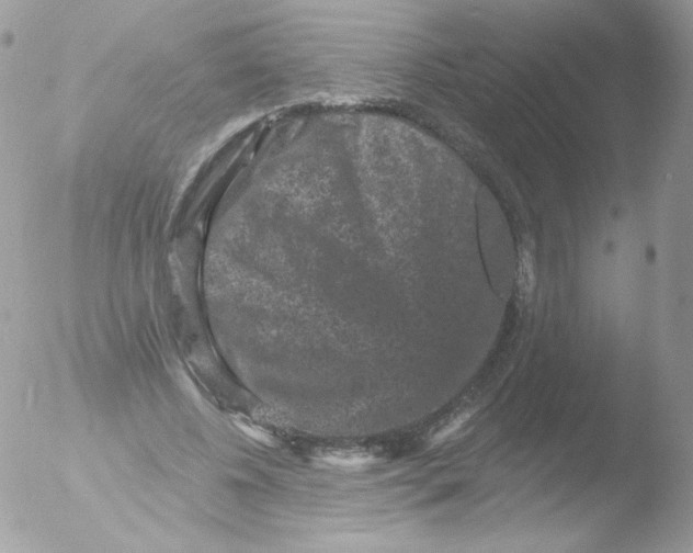 X0000051890540200507151941