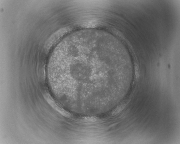 X0000051890541200507151941