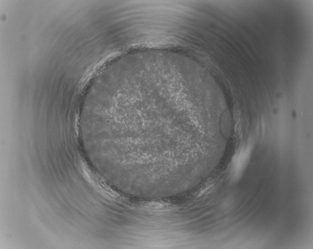 X0000051890542200507151941