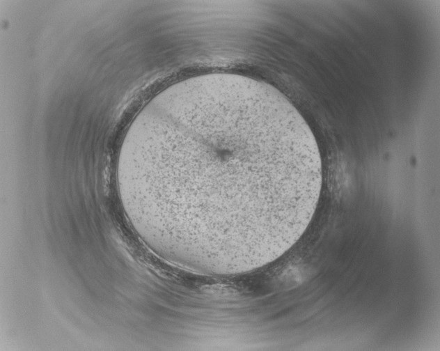 X0000051890544200507151941