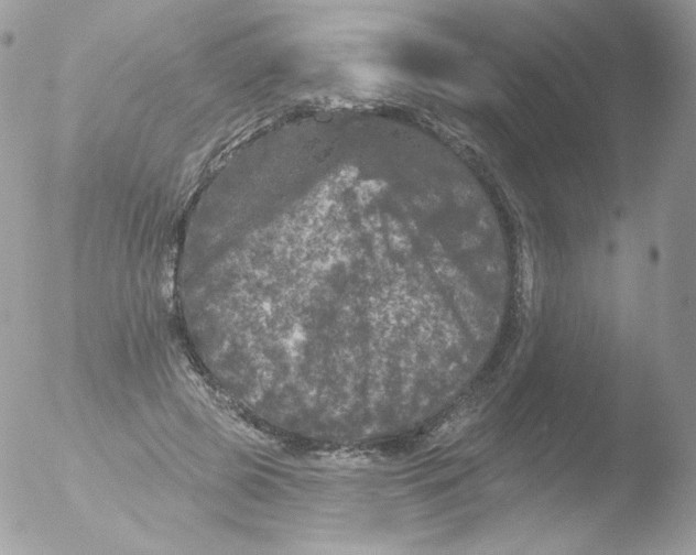 X0000051890545200507151941