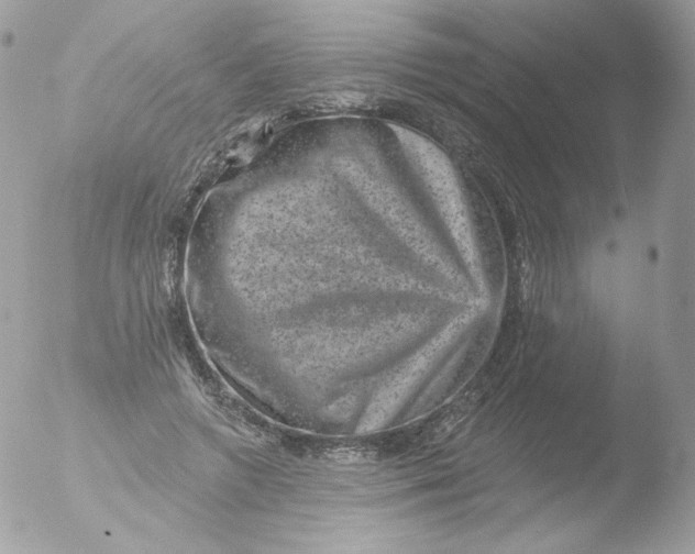 X0000051890546200507151941