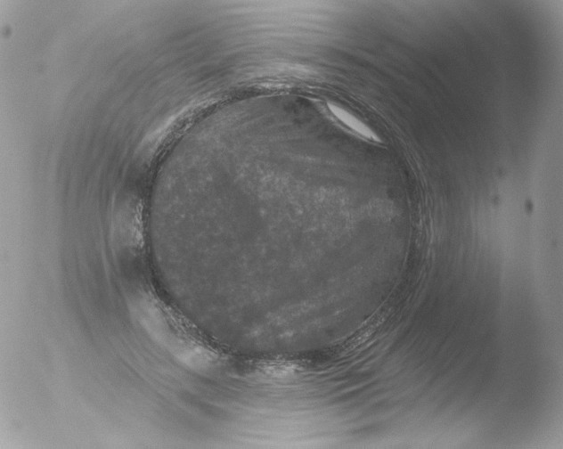 X0000051890547200507151941