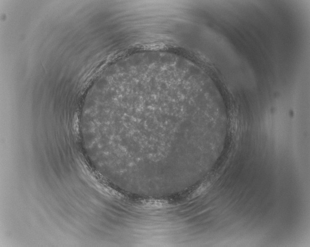 X0000051890549200507151941