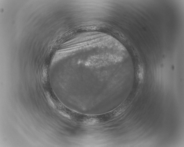 X0000051890551200507151941