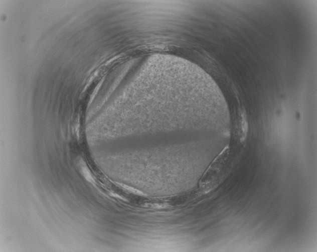 X0000051890552200507151941