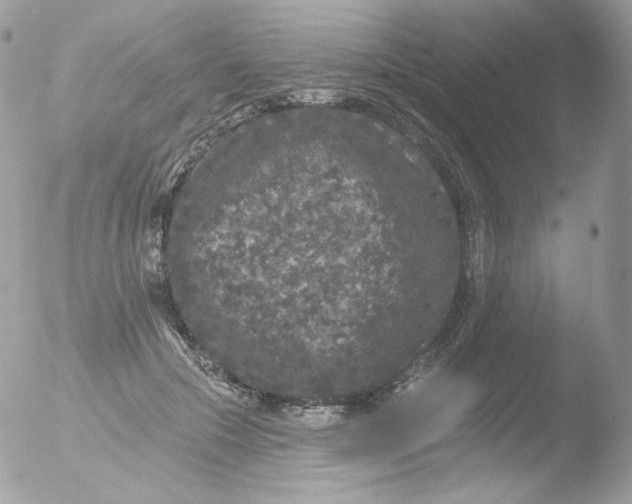 X0000051890553200507151941