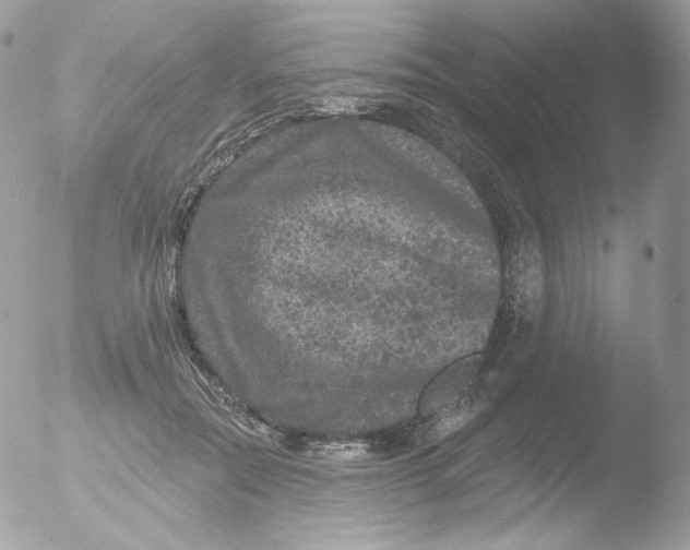 X0000051890554200507151941