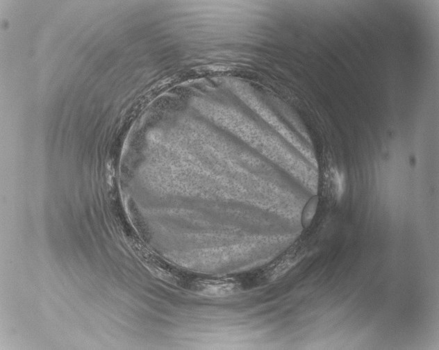 X0000051890555200507151941