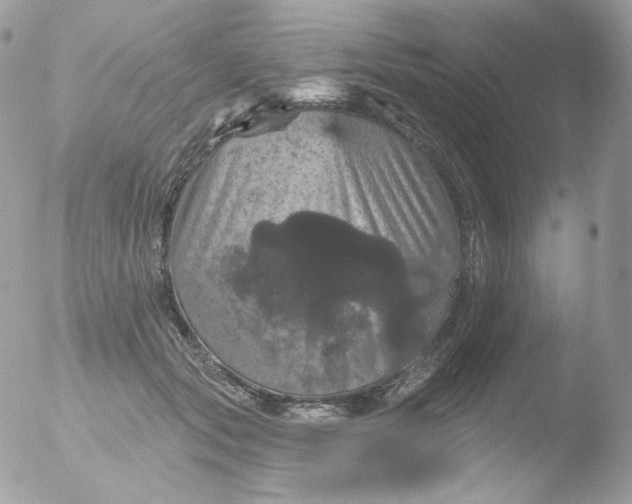 X0000051890557200507151941