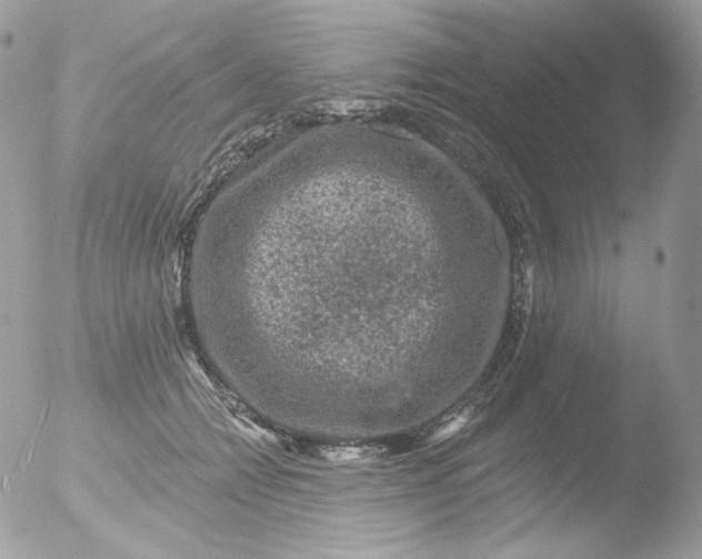 X0000051890558200507151941