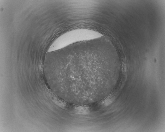 X0000051890561200507151941