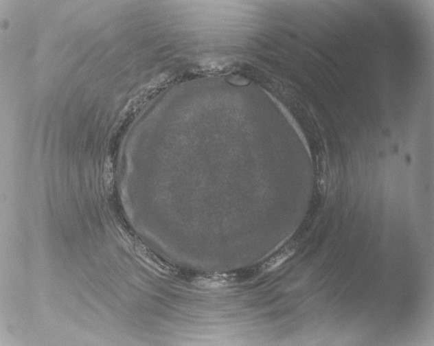 X0000051890563200507151941