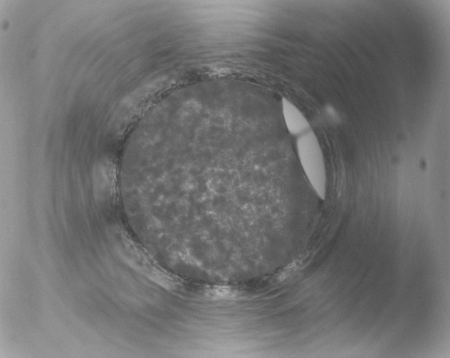 X0000051890565200507151941