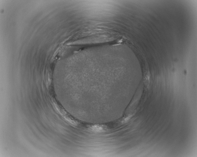 X0000051890566200507151941