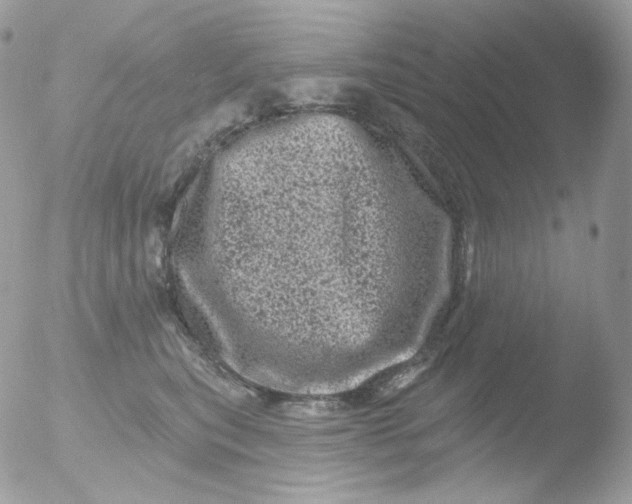 X0000051890567200507151941