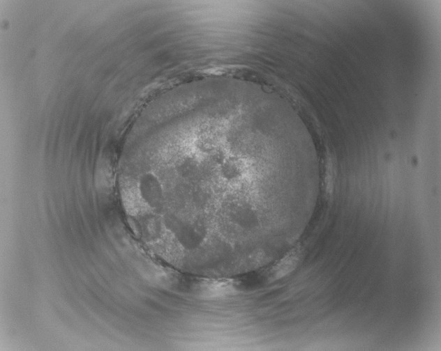 X0000051890569200507151942