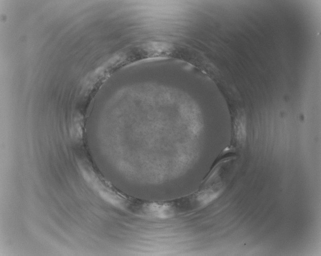 X0000051890570200507151942