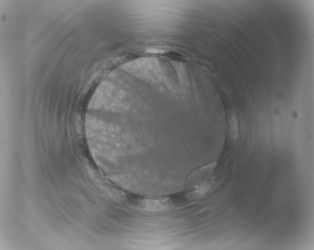 X0000051890571200507151942