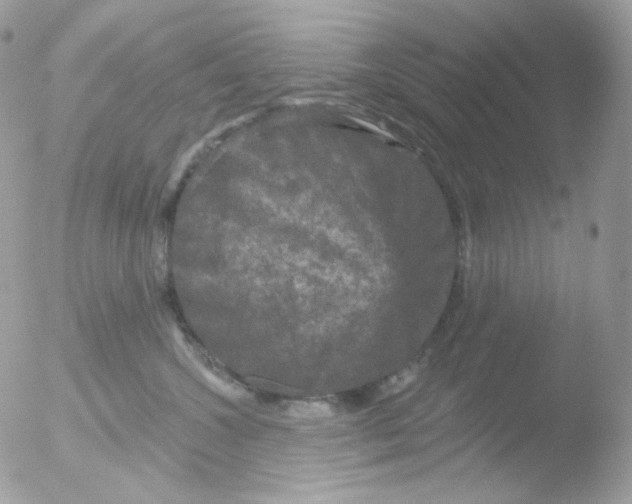 X0000051890572200507151942