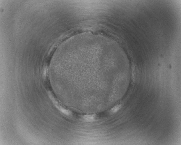 X0000051890574200507151942