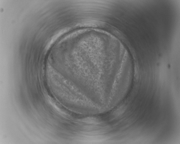 X0000051890578200507151941