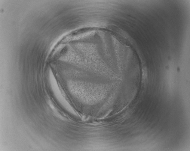 X0000051890580200507151941