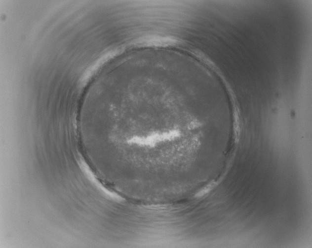 X0000051890581200507151941